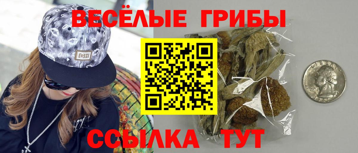 Аргун  Галлюциногенные грибы мицелий  Вход с VPN 