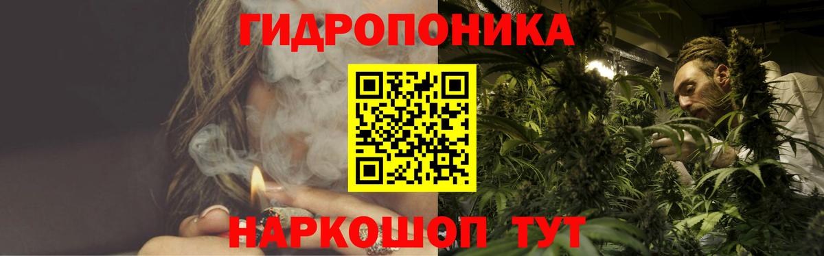 Аргун  Каннабис MAZAR  Бошки Шишки VHQ  Вход с VPN  Шишки марихуана гибрид  Шишки марихуана тримм 
